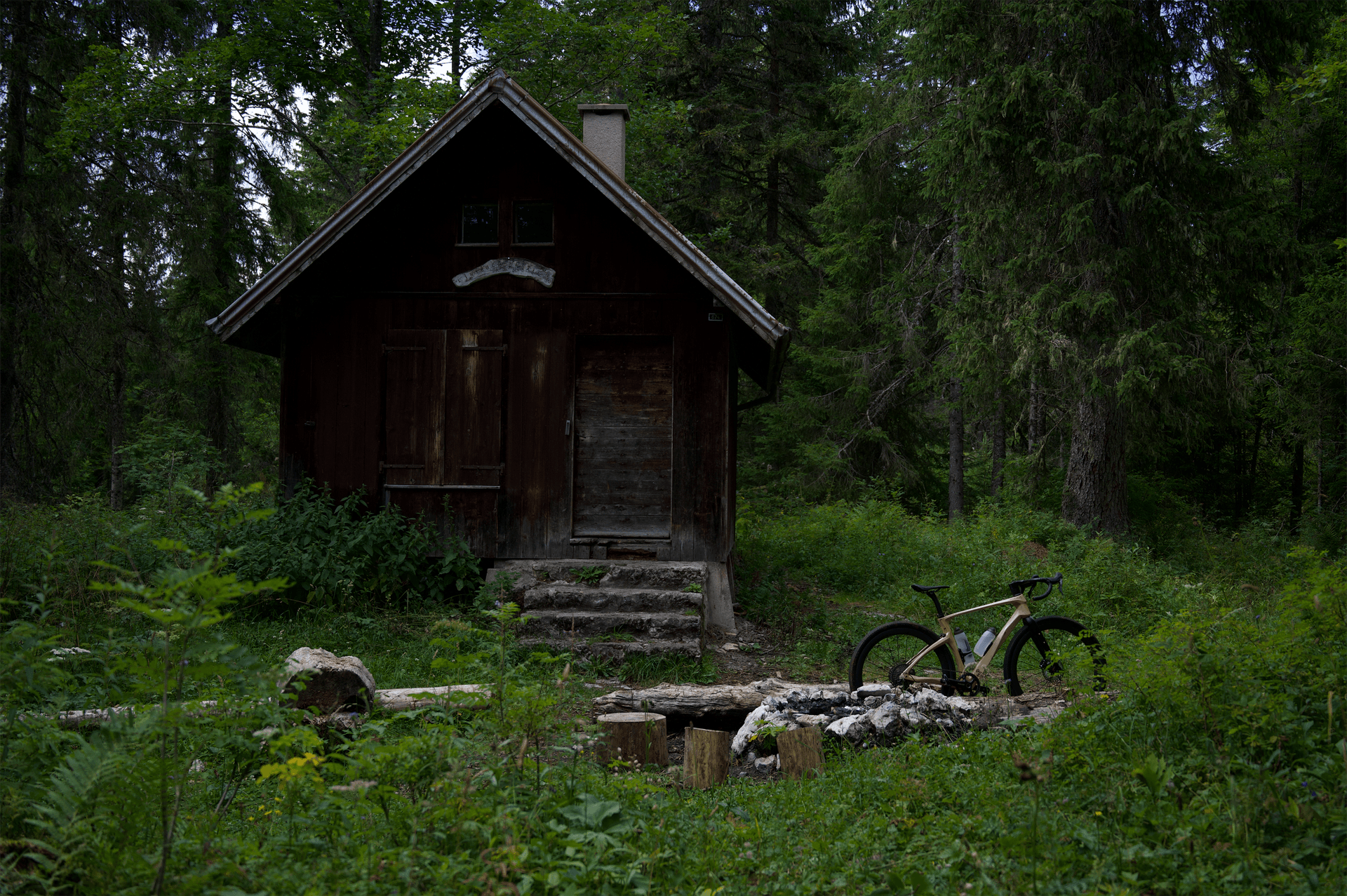 WoodAlps   Ambassadors