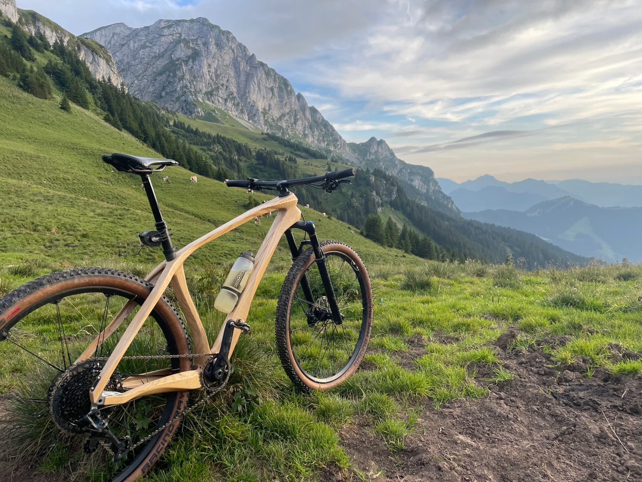 Wooden bike in forest
